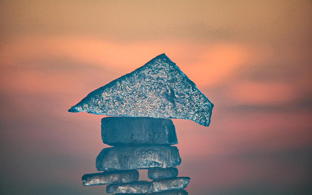 „Vergängliche Schönheiten“ © Andreas Knapp